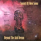 Sounds Of New Soma - Beyond the Acid Dream