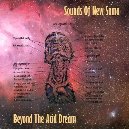 Sounds Of New Soma - Beyond the Acid Dream