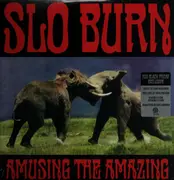 LP - Slo Burn - Amusing the Amazing - Etched