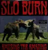 LP - Slo Burn - Amusing the Amazing - Etched