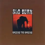 Slo Burn - Amusing the Amazing