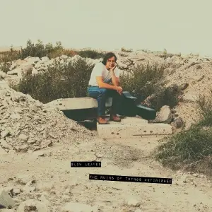 Slow Leaves - The Ruins of Things Unfinished