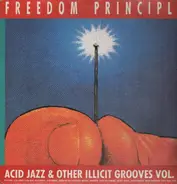 Slow Fuse, David Toop a.o. - Freedom Principle - Acid Jazz And Other Illicit Grooves Vol. 2