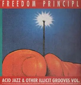 Various Artists - Freedom Principle - Acid Jazz And Other Illicit Grooves Vol. 2