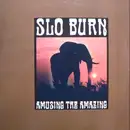 10'' - Slo Burn - Amusing The Amazing - Splatter Clear Brown, Kyuss