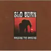 CD - Slo Burn - Amusing The Amazing