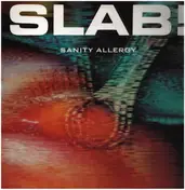 Slab! - Sanity Allergy