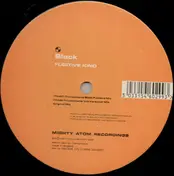 Slack - Fugitive Kind