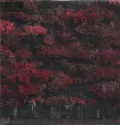 Sleep Token - Even In Arcadia