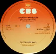 12inch Vinyl Single - Sleeping Lions - Sound Of My Heart