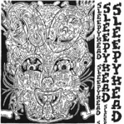 I Wish I Was A Slumberland Record