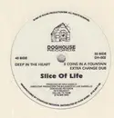 12inch Vinyl Single - Slice Of Life - Deep In The Heart