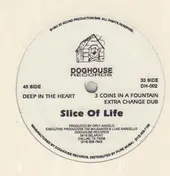 Slice Of Life - Deep In The Heart
