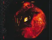 CD - Slipknot - Iowa