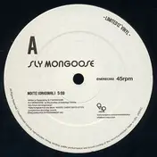 sly mongoose - Noite