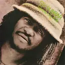 LP - Sly Dunbar - Simple Sly Man