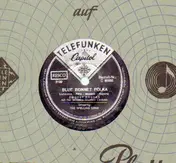 Smokey Rogers - Blue Bonnet Polka/ The Spelling Song