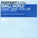 12inch Vinyl Single - Small World - Can't Give You Up