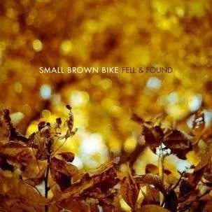 Small Brown Bike - Fell & Found