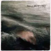Small Brown Bike - RIVER BED