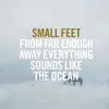 LP - Small Feet - From Far Enough Away Everything Sou - ...