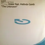 Smith & Pledger - The Unknown