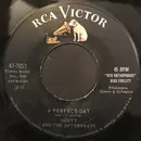 7inch Vinyl Single - Smitty And The Afterbeats - A Perfect Day