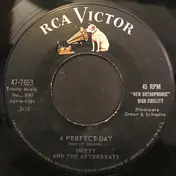 smitty - A Perfect Day