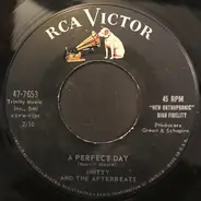 Smitty And The Afterbeats - A Perfect Day