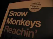 Snow Monkeys - Reachin