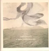 Snow Ghosts - A Small Murmuration
