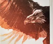 Double CD - Snow Patrol - Fallen Empires - Digipack foldout