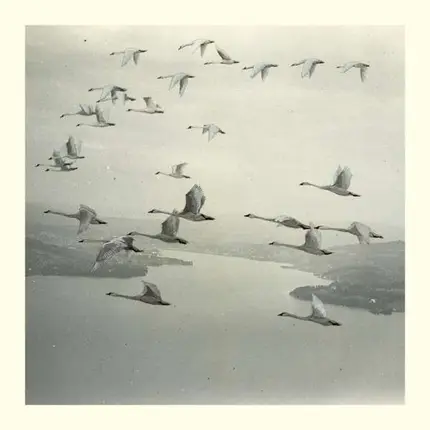 Snow Ghosts - And The World Was Gone (180g Vinyl)