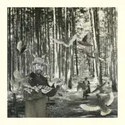 Snow Ghosts - Secret Garden