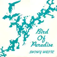 Snowy White - Bird Of Paradise