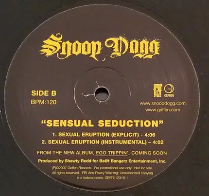 Snoop Dogg - Sensual Seduction