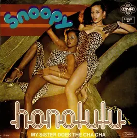 Snoopy - Honolulu