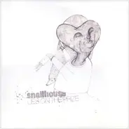 Snailhouse - Lies on the Prize