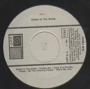 LP - Snake In The Grass - Hot Und Sweet Mit Beat