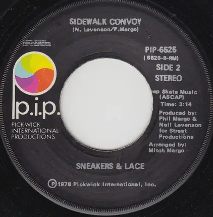 Sneakers & Lace - Skateboardin'