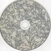 CD - Sneaky Thieves - Accident(s)