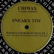 Sneaky Tim - What's Your Function Pt. 1