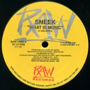 12inch Vinyl Single - Sneek - What Is Music - still sealed
