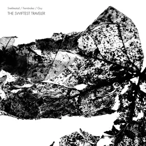 Snekkestad/Fernandez/Guy - The Swifted Traveler