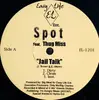 12inch Vinyl Single - Spot Feat. Thug Miss - Jail Talk