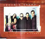 Spock's Beard - All On A Sunday