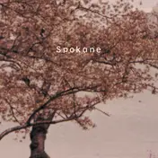 Spokane - The Proud Graduates