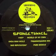 LP - Spongetunnel - Morons & Monsters - Poster