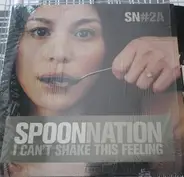 Spoon Nation - I Can't Shake This Feeling
