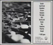 CD - Spoon - Holding Flowers